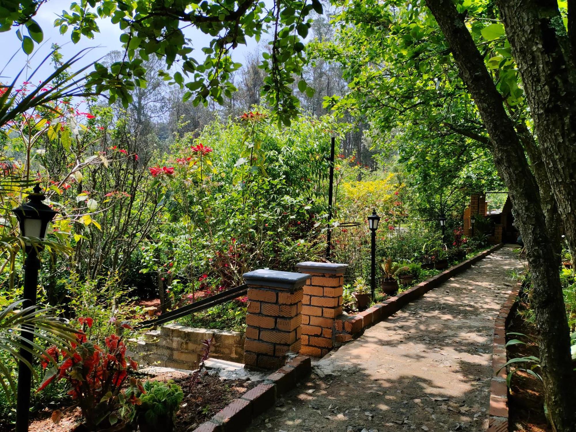 Pear Tree Entire 2Bhk Villa 코타지리 외부 사진