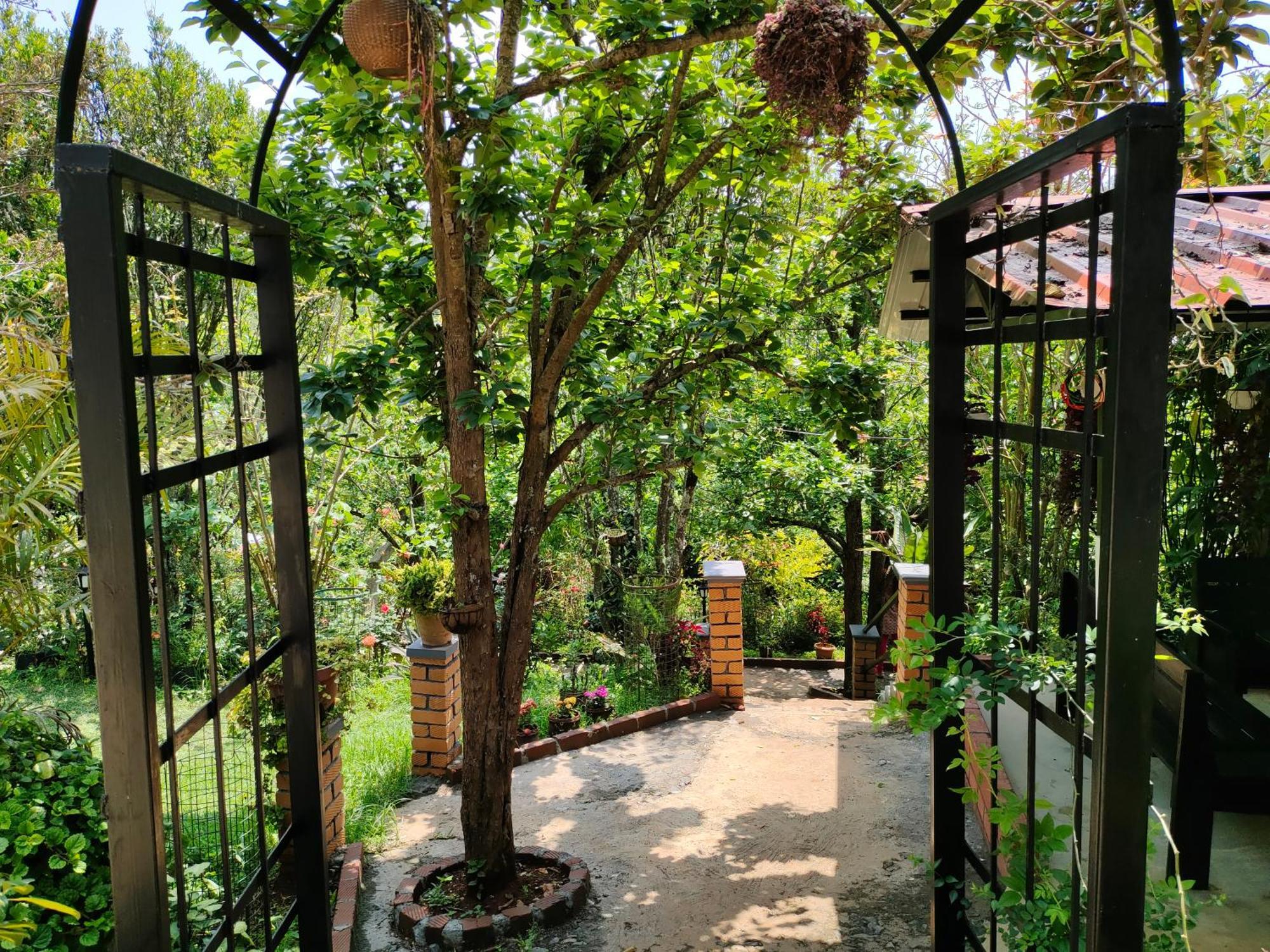 Pear Tree Entire 2Bhk Villa 코타지리 외부 사진