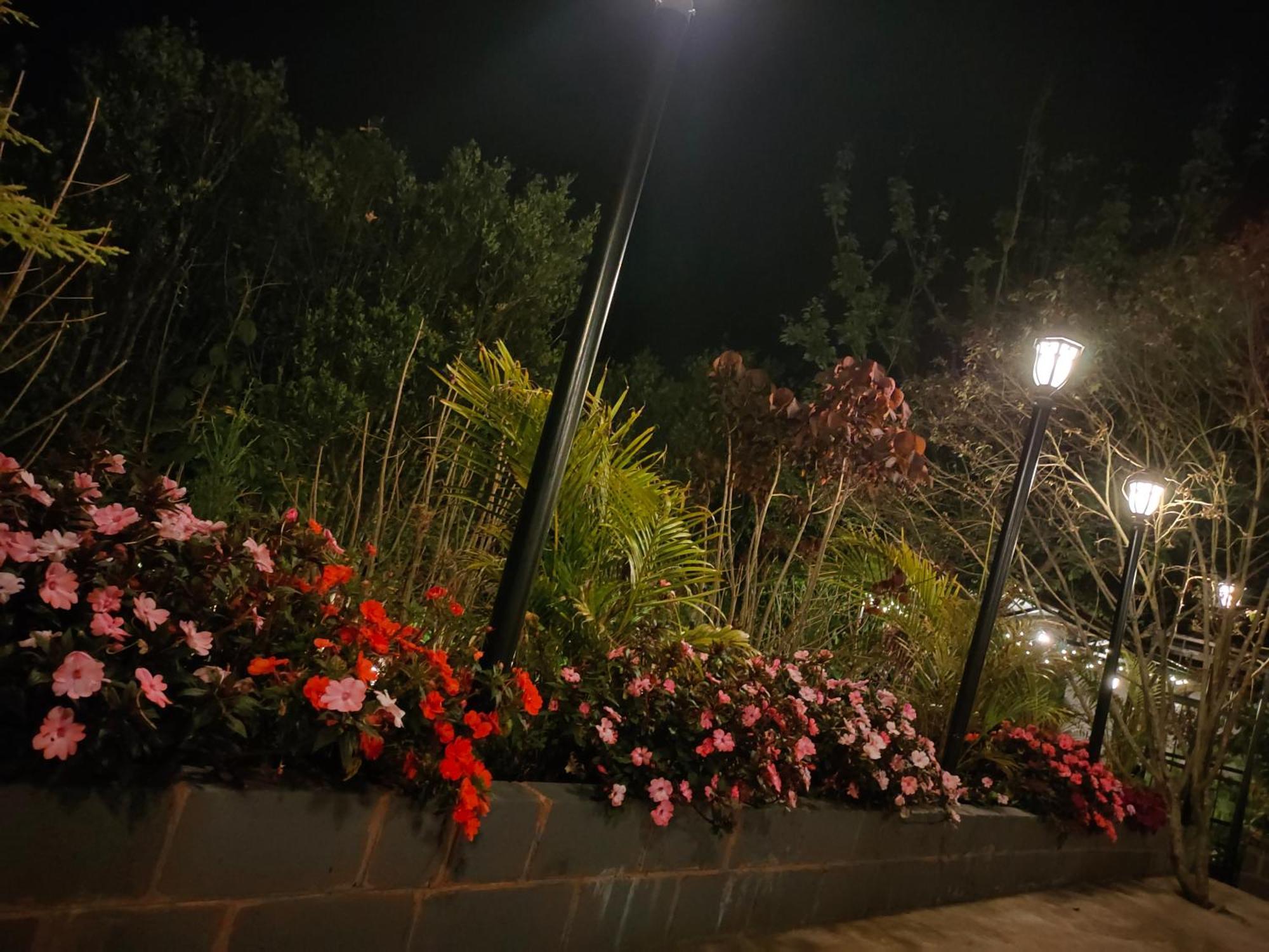 Pear Tree Entire 2Bhk Villa 코타지리 외부 사진